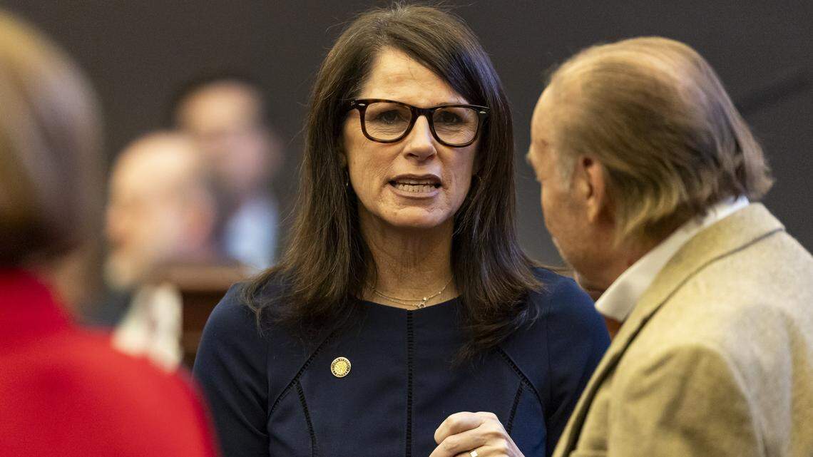 Tina Polsky won’t seek re-election, backs Lauren Book for Senate District 30