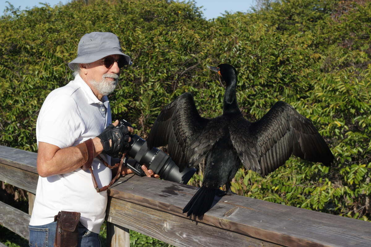Some of the birds in the Wakodahatchee preserve, including this cormorant, appear to be unafraid of the humans in their midst.