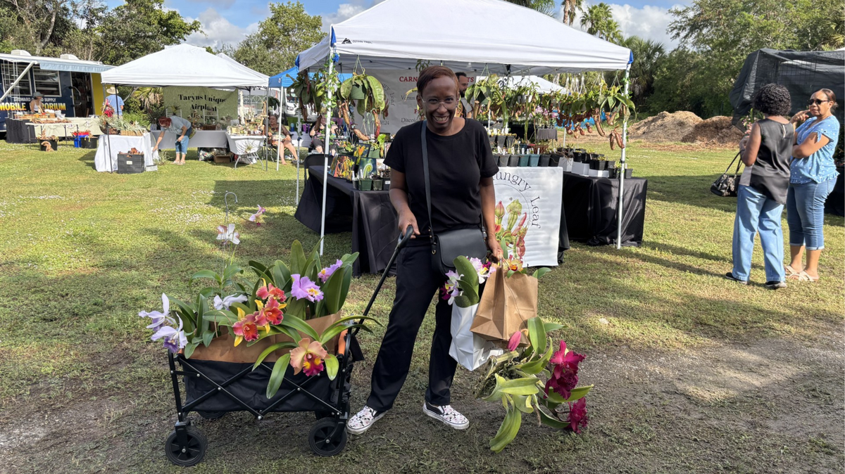 The Sawgrass Nature Center and Wildlife Hospital is set to welcome spring with its biannual Orchid and Garden Festival, featuring small local businesses.