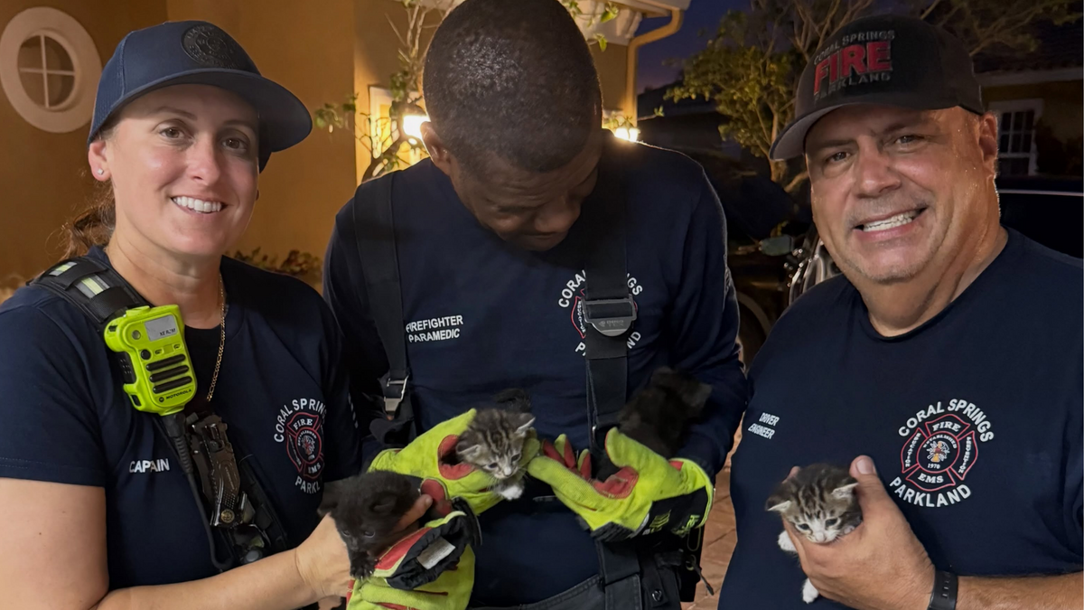Three Coral Springs-Parkland Fire Department members pose for a photo after rescuing five kittens from a vehicle.