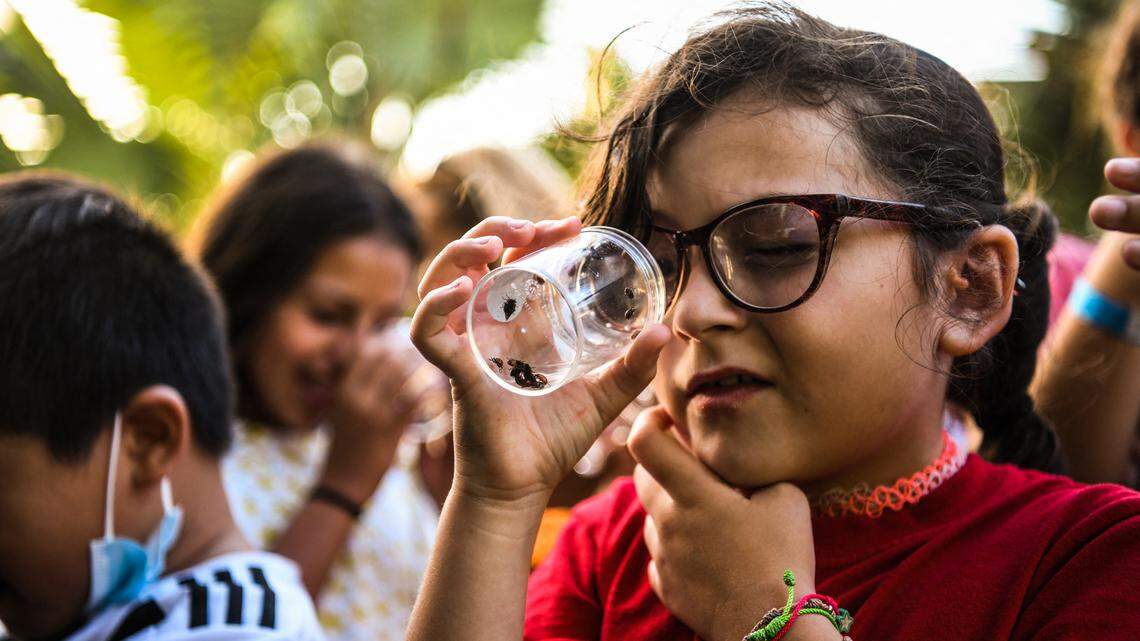 Fun Ways Fort Worth Families Can Celebrate Earth Day Together: Tree Planting, Upcycling and More