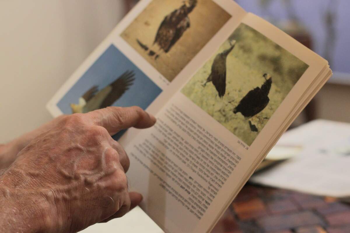 Meir Martin translates from his native language, Hebrew, to English while reading his book, “Desert Birds of Israel.”
