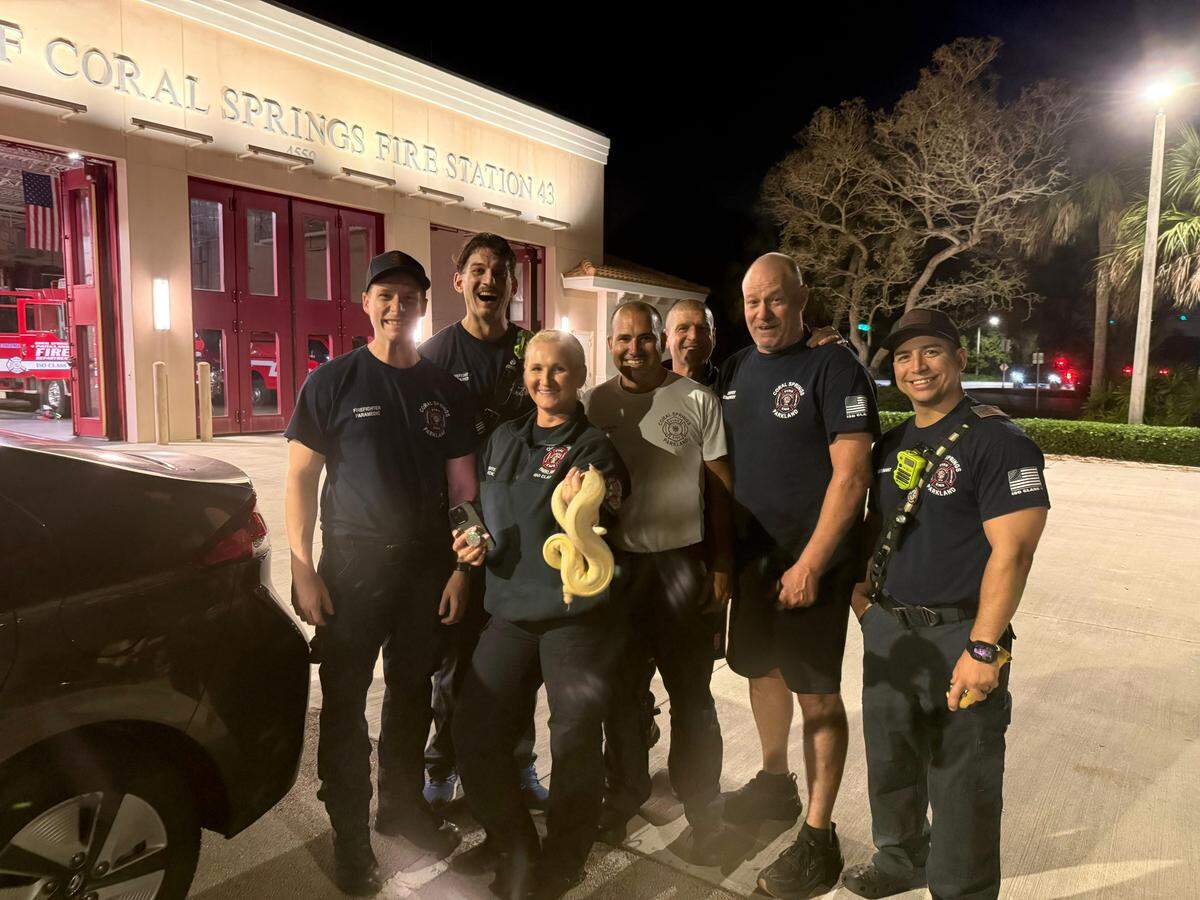 Station 43 crew members helped the woman extract her snake from the vehicle, with no injuries to people or pets.