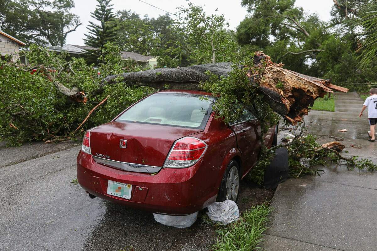 Even though Coral Springs falls outside storm-surge evacuation orders, residents remain vulnerable to hurricane hazards, including falling trees.