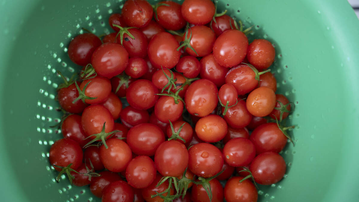 Inside the Taped-Stem Method That Keeps Fresh Tomatoes at Peak Flavor for ...