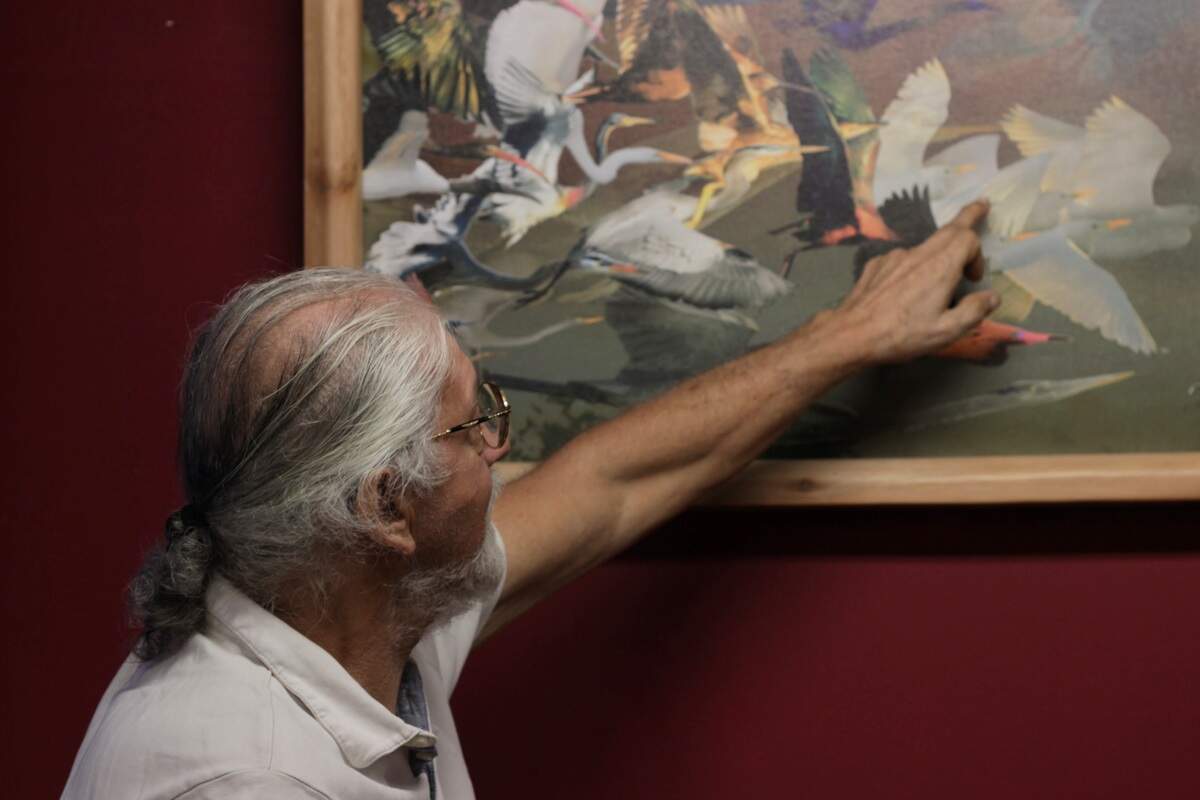 Meir Martin uses one of his older works to explain how he attempts to capture light coming through more transluscent parts of birds’ wings, and the colors that he can draw out using image editing techniques.