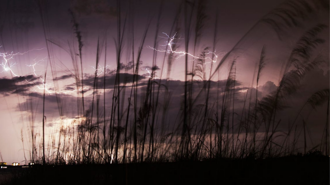 Thunderstorm starts tree fires at nature center, family home in Coral Springs