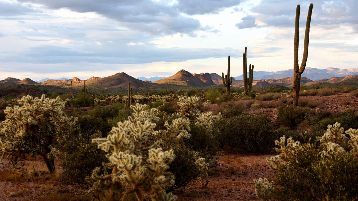 Wellness Retreats USA: Everything You Need to Know for a 2026 Getaway