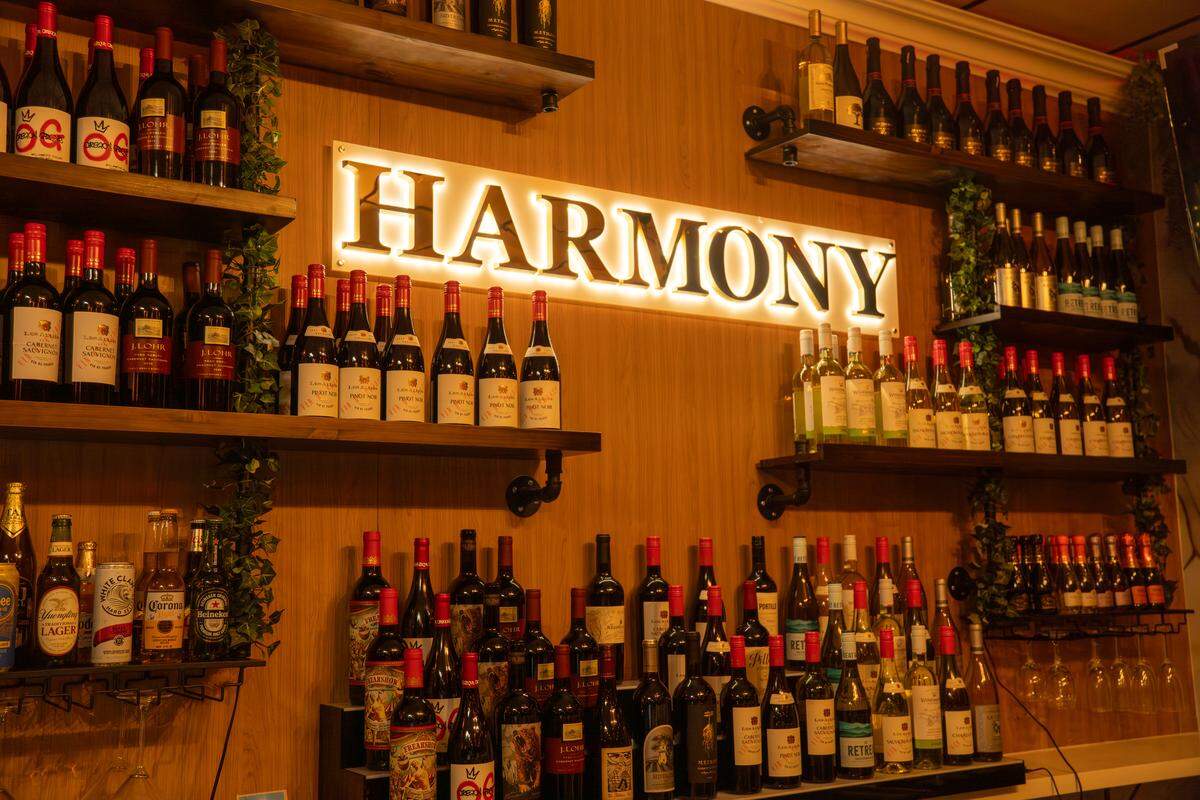 Harmony Indian Cuisine, located at 1142 N. University Drive, is now open.