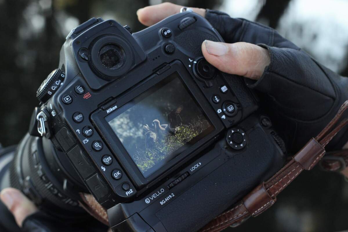 Meir Martin shows his Nikon screen, with a photo of two birds in their nest in the Wakodahatchee.