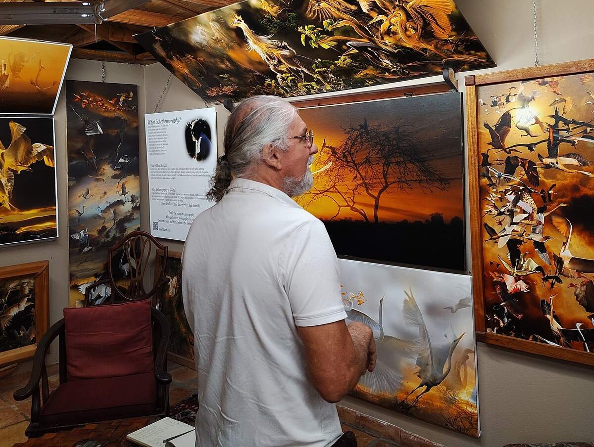 Meir Martin gives a tour of his home gallery, explaining the stories behind each work.