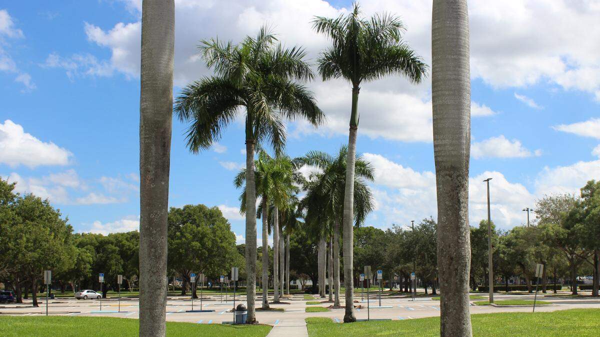 Coral Springs is now a LEED Gold certified city, an international recognition of sustainability, resilience and livability.