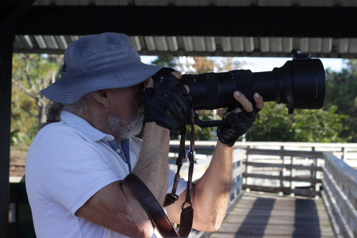 Meir Martin captures a bird in flight.