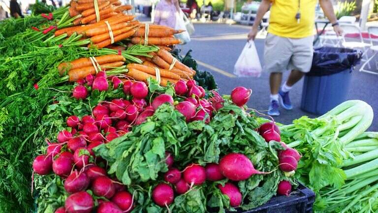 Seasonal Produce Guide: How Spring Asparagus, Summer Tomatoes and Fall Apples Map to Your Region's Harvest Windows