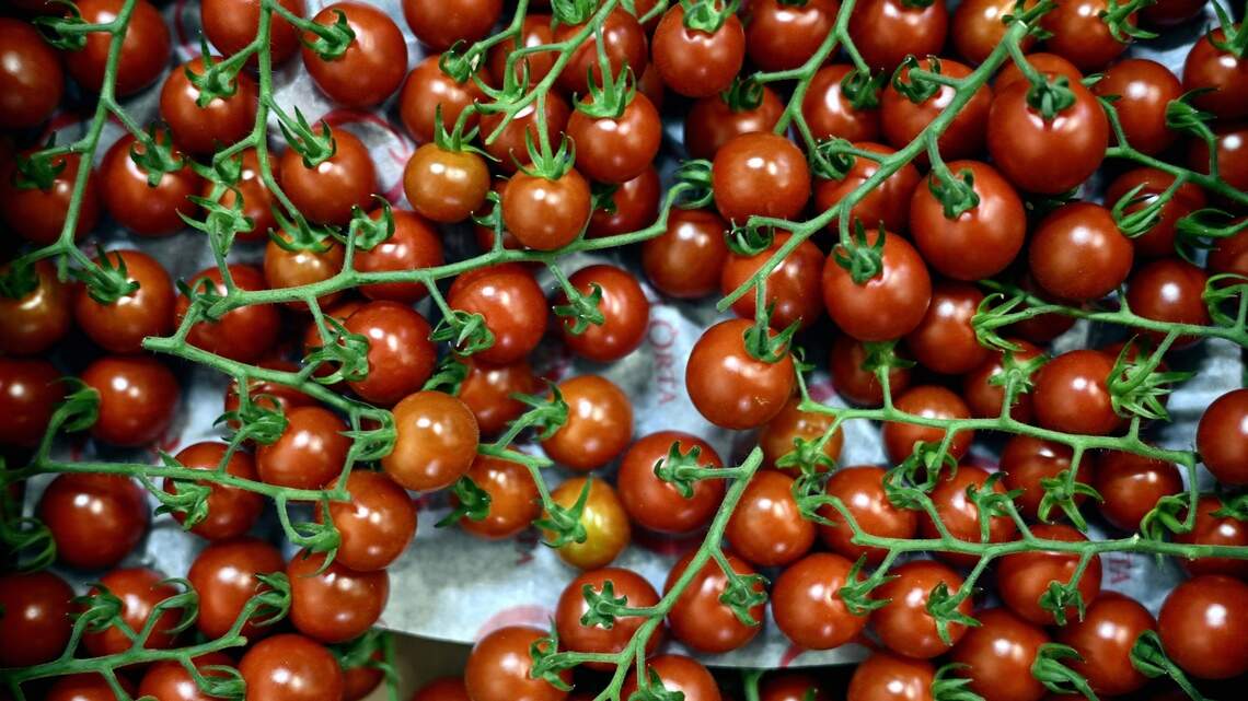 Meet Fresh Tomatoes’ Peak Season Rules: Stem Taping, Paper Bag Ripening and Recipes Worth Trying