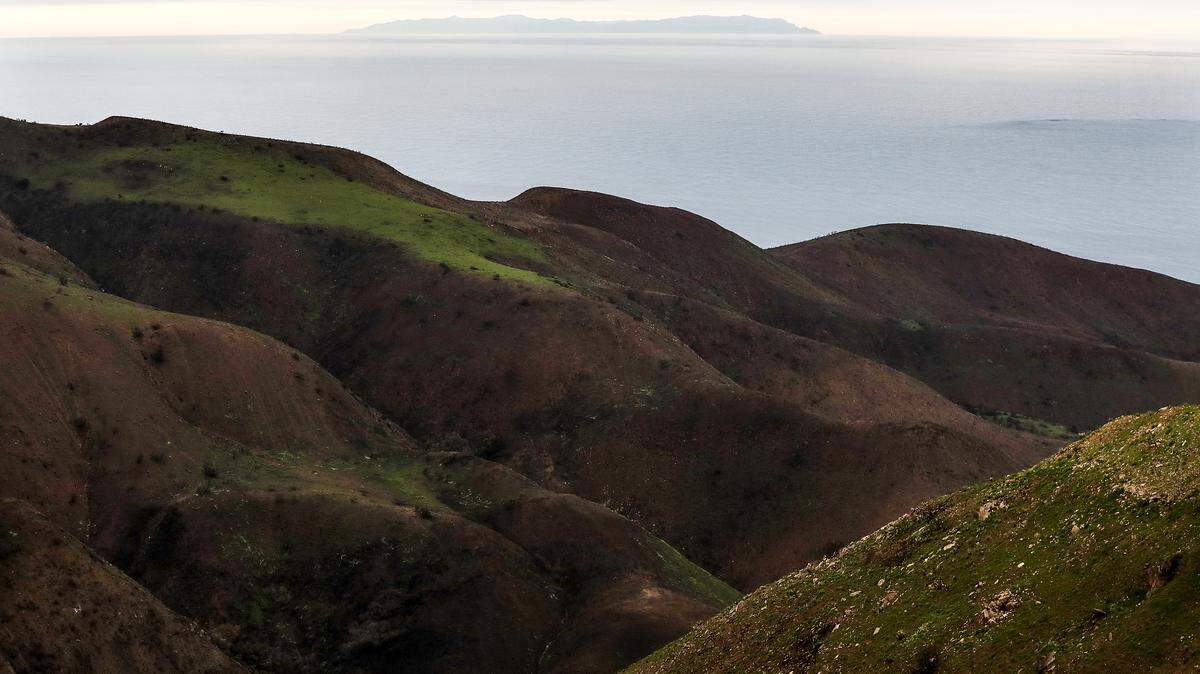 New vegetation sprouts in a Woolsey Fire burn area in the Santa Monica Mountains, with the Pacific ocean in the background