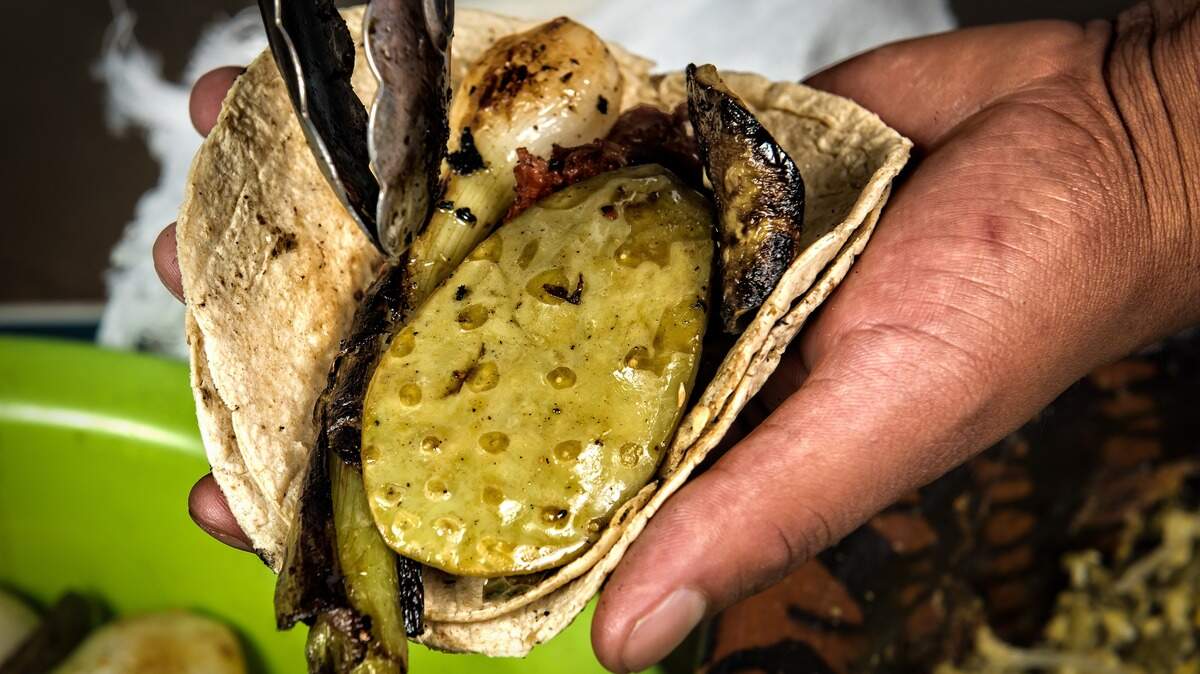A taco of prickly pear or nopal cactus (Opuntia ficus-indica) cooked with cambray onion is served.