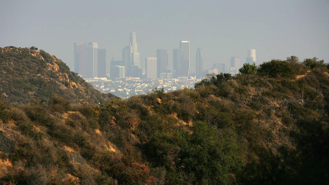 Wellness Retreats USA: Why Do Stars Like Rebel Wilson and Lea Michele Love The Ranch Malibu?